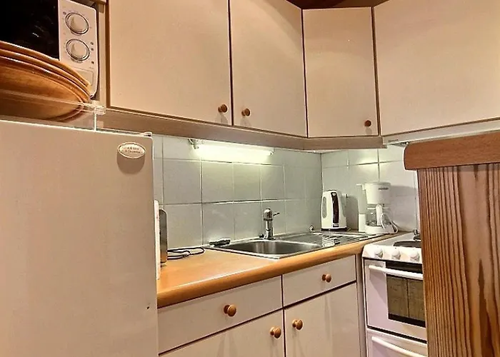 Apartman Renove, 4 Pers, Pied Des Pistes, Proche Commerces - Fr-1-455-77 *